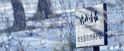 蘇打水官網(wǎng)